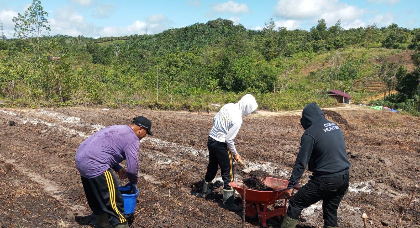 Polsek Kapuas Lanjutkan Progres Pengolahan Lahan Demplot Ketahanan Pangan di Kelurahan Bunut
